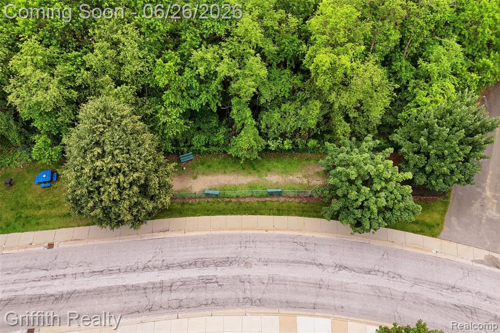 4271 Deeside Drive, Brighton, MI 48116 — Photo 33