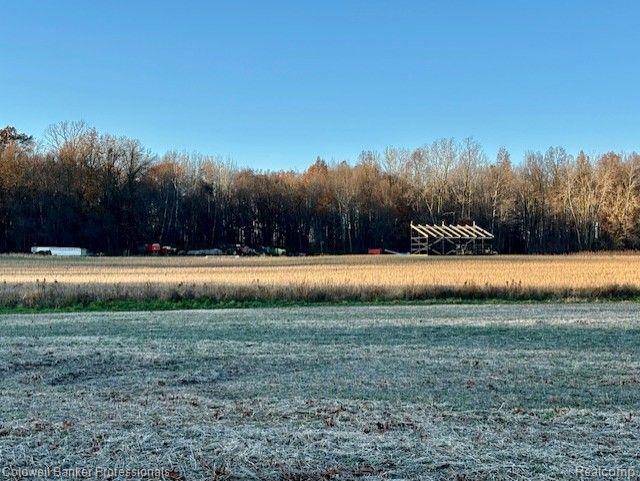 14235 WANTY Road, Milan, MI 48160 — Photo 4