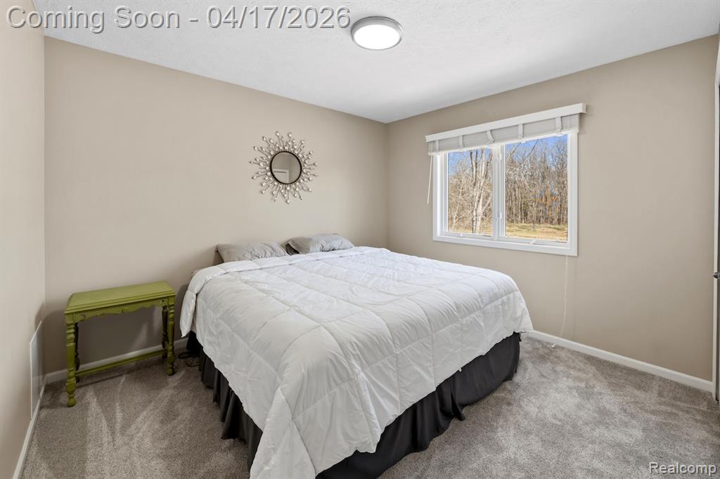 385 Tortoise Drive, Howell, MI 48843 — Photo 24