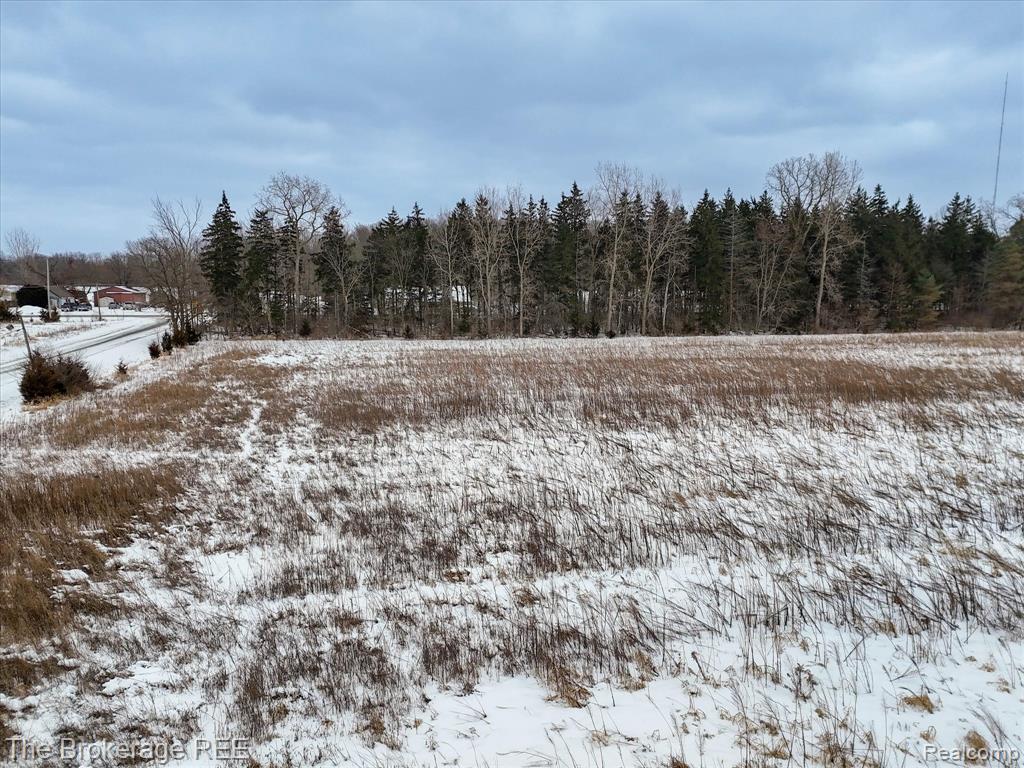 S Gera Rd, Birch Run, MI 48415 — Photo 17