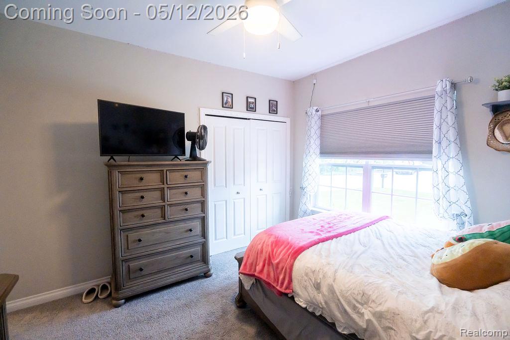 21097 McGuire, Romulus, MI 48174 — Photo 28