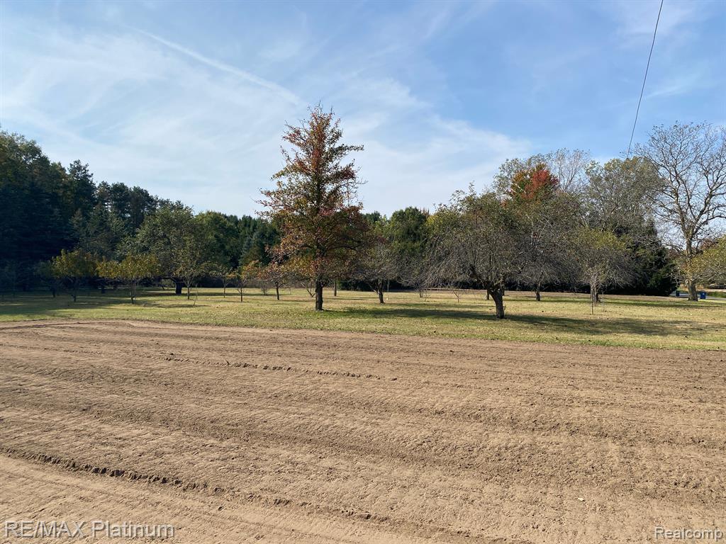 11781 FERDEN Road, Chesaning, MI 48616 — Photo 23