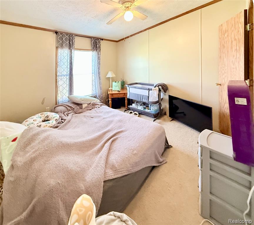 293 Westfield Drive, Erie, MI — Photo 14