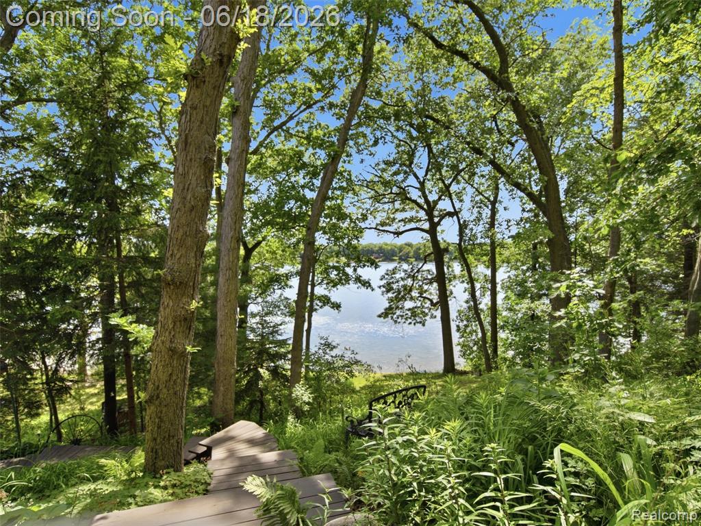 14478 Bouchner Drive, Linden, MI 48451 — Photo 39