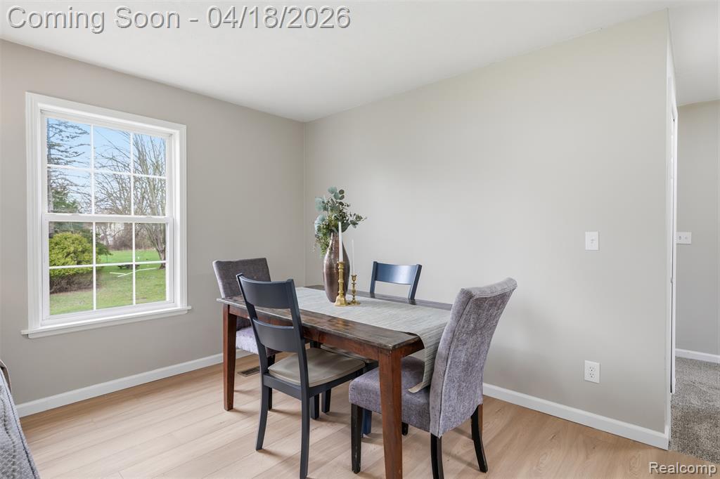 118 Gale Street, Morrice, MI 48857 — Photo 11