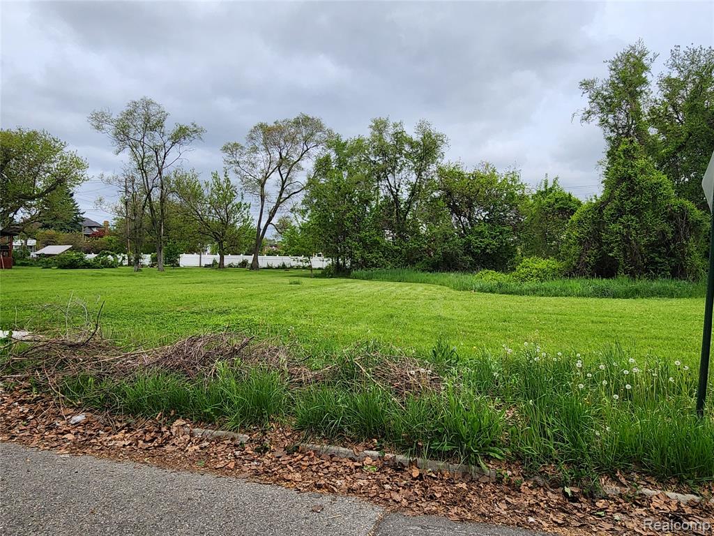 639 Smith Street, Detroit, MI 48202 — Photo 3