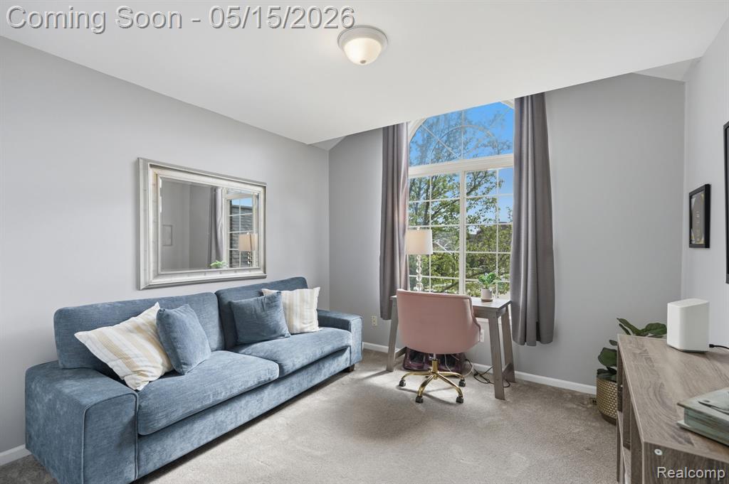 21345 Dalton Court, Macomb, MI 48044 — Photo 29