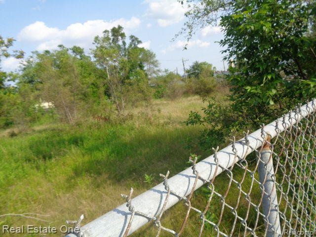 14852 WYOMING Street, Detroit, MI 48238 — Photo 3