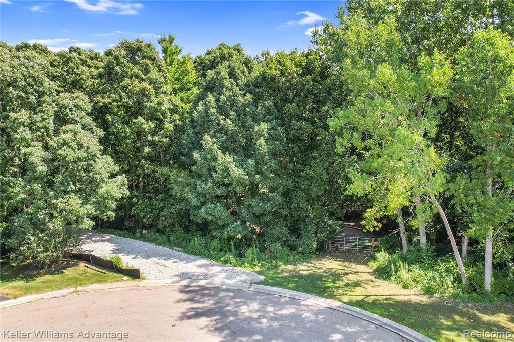 10493 Spring Grove, Brighton, MI 48114 — Photo 4