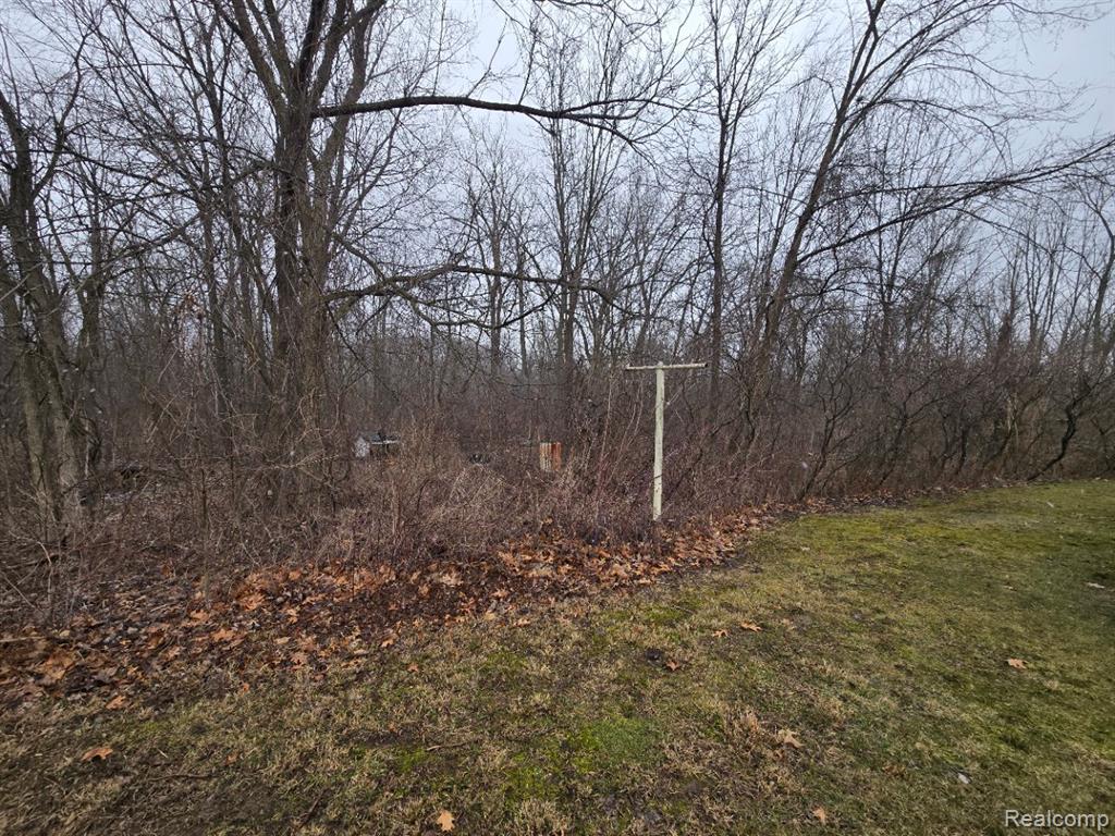 14565 SHARON HOLLOW Road, Manchester, MI 48158 — Photo 5