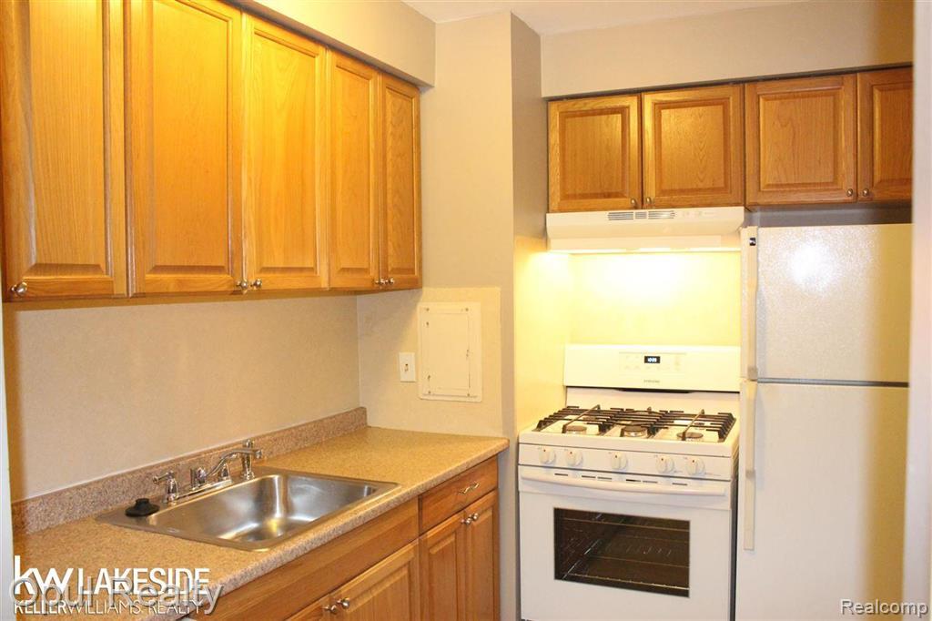 1237 Island Drive, 203, Ann Arbor, MI 48105 — Photo 5