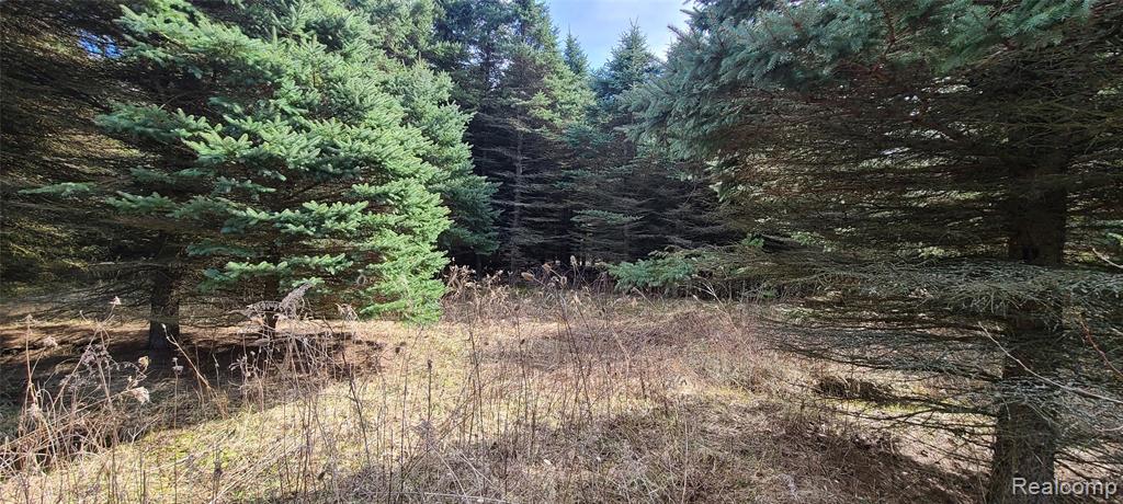 VL Millville Road, Lapeer, MI 48446 — Photo 2