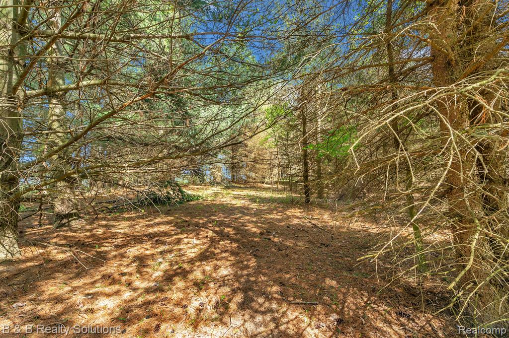 2864 N BLACKS CORNERS Road, Imlay City, MI 48444 — Photo 46