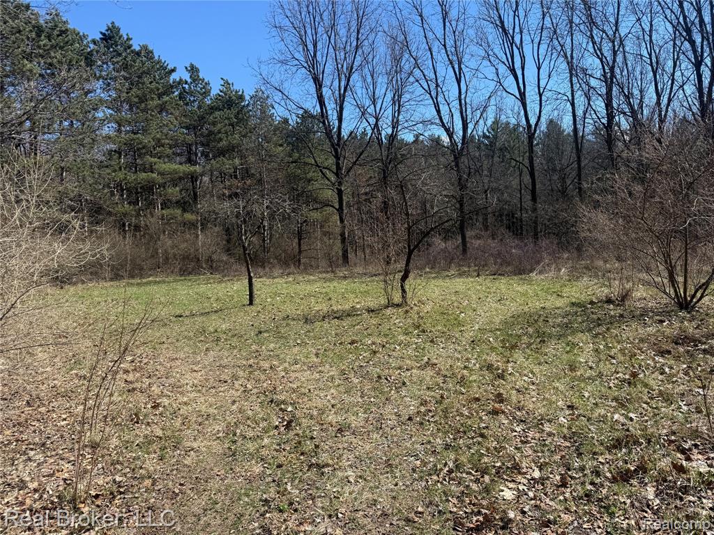 1802 N Elba Road, Lapeer, MI 48446 — Photo 55