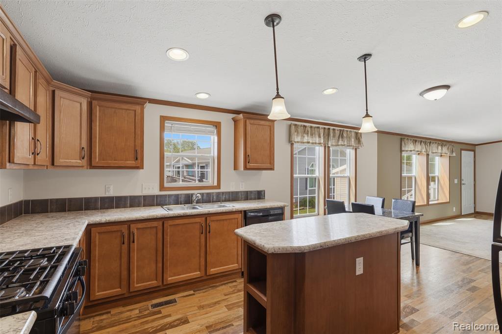 11006 Wood Run Circle, South Lyon, MI 48178 — Photo 4