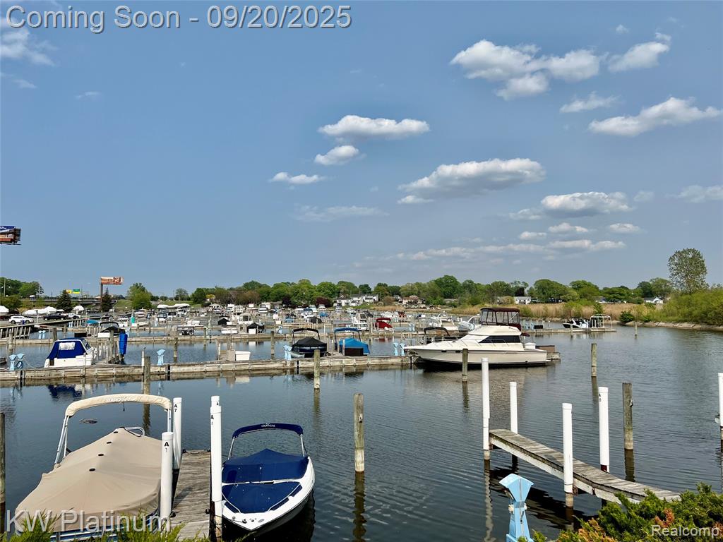 3551 STRAWBERRY Lane, Port Huron, MI 48060 — Photo 40