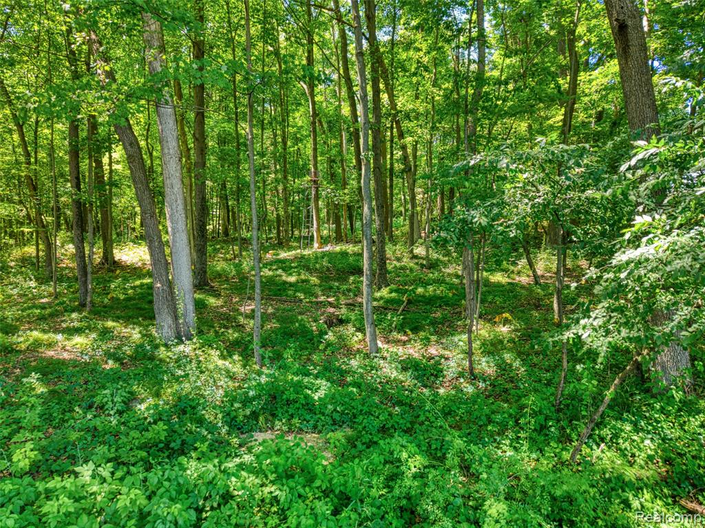 5663 Iosco Mountain Road, Gregory, MI 48137 — Photo 6