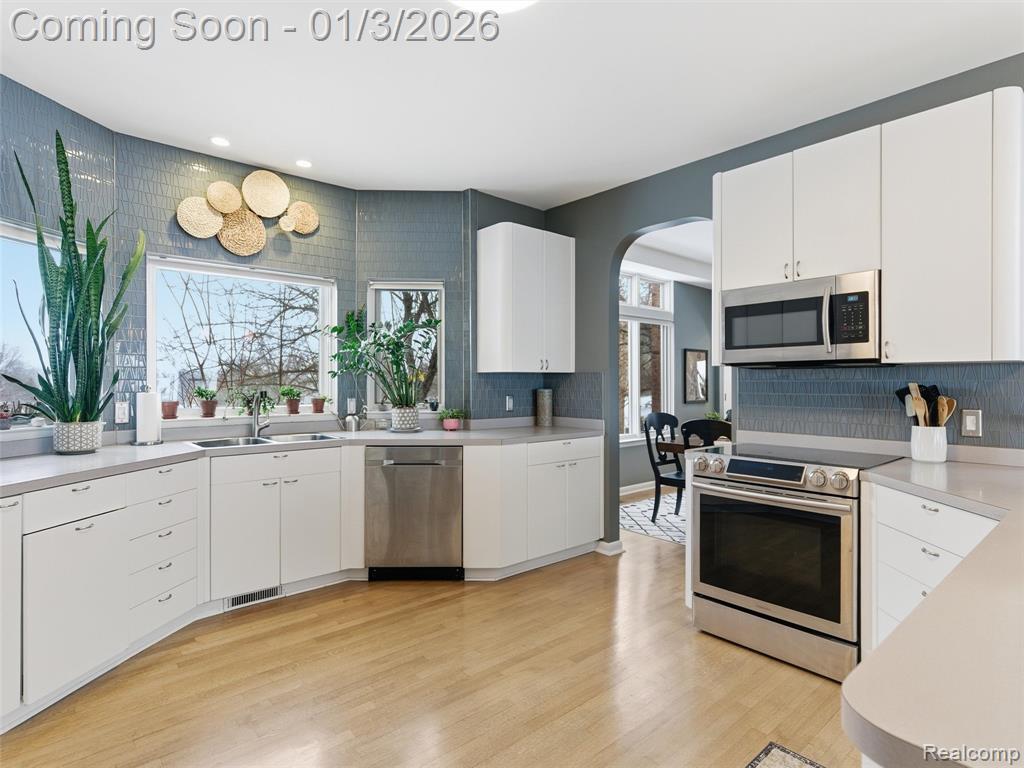 8153 Sashabaw Ridge Drive, Clarkston, MI 48348 — Photo 19