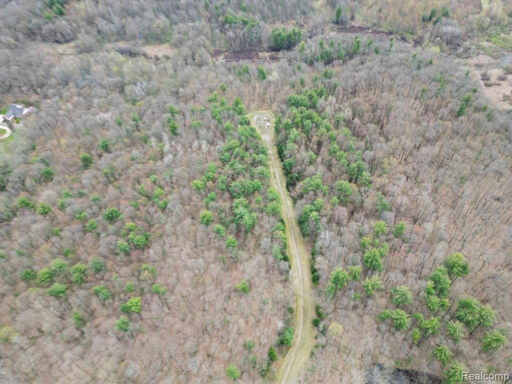 4.23 Acres VL - KNIGHTS BRIDGE Road, Leonard, MI 48367 — Photo 15