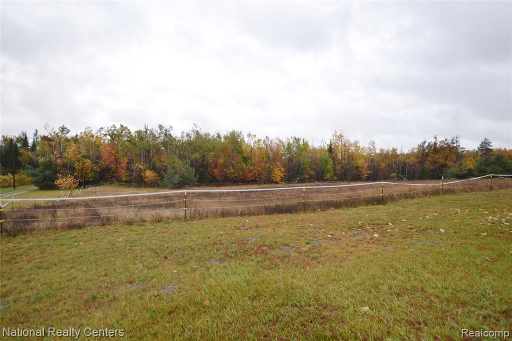 16852 Hayes Road, Hillman, MI 49746 — Photo 5
