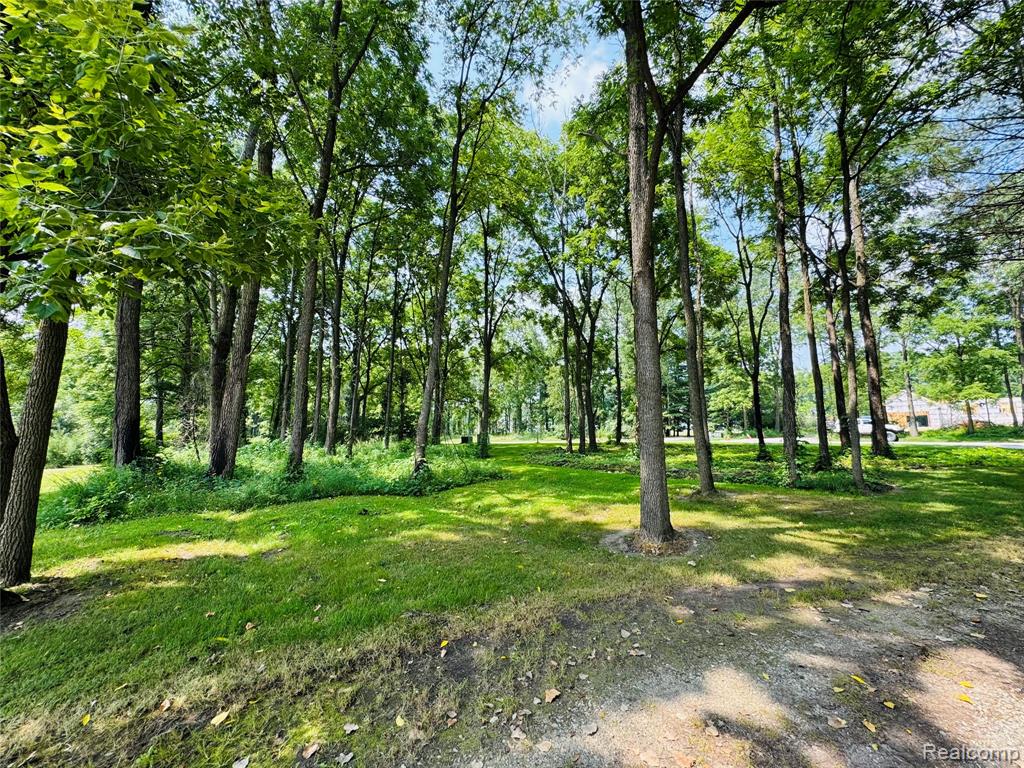 5169 Hidden Ridge Drive, Metamora, MI 48455 — Photo 5