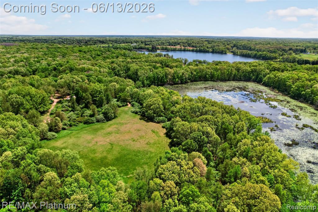 5060 Yax Pointe Drive, Howell, MI 48843 — Photo 57