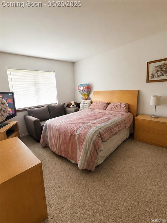 5858-5860 Niles Drive, Troy, MI 48098 — Photo 23