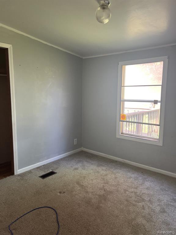 6791 CADE Road, Brown, MI 48416 — Photo 7