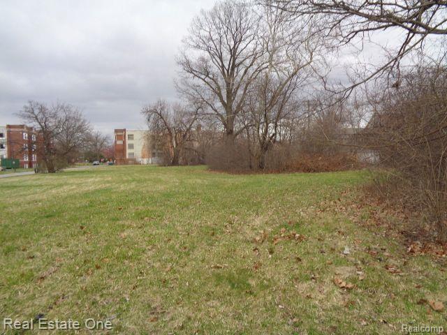 1749 COLLINGWOOD Street, Detroit, MI 48206 — Photo 12