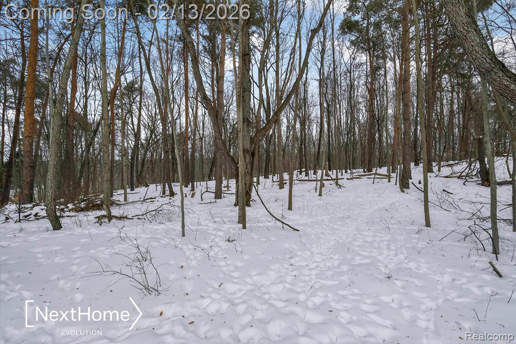 715 Glen Oak Drive, Manchester, MI 48158 — Photo 55