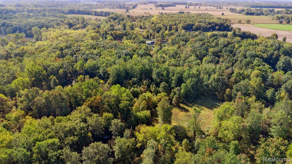 612 W Bath Road, Morrice, MI 48857 — Photo 80