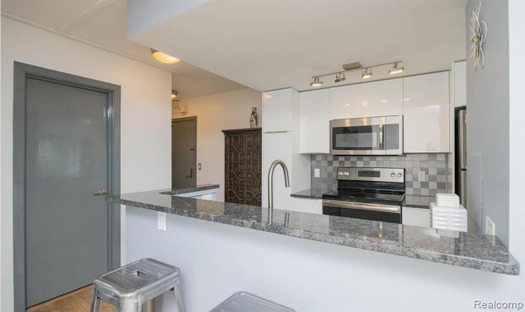 555 E WILLIAM Street, 19C, Ann Arbor, MI 48104 — Photo 13