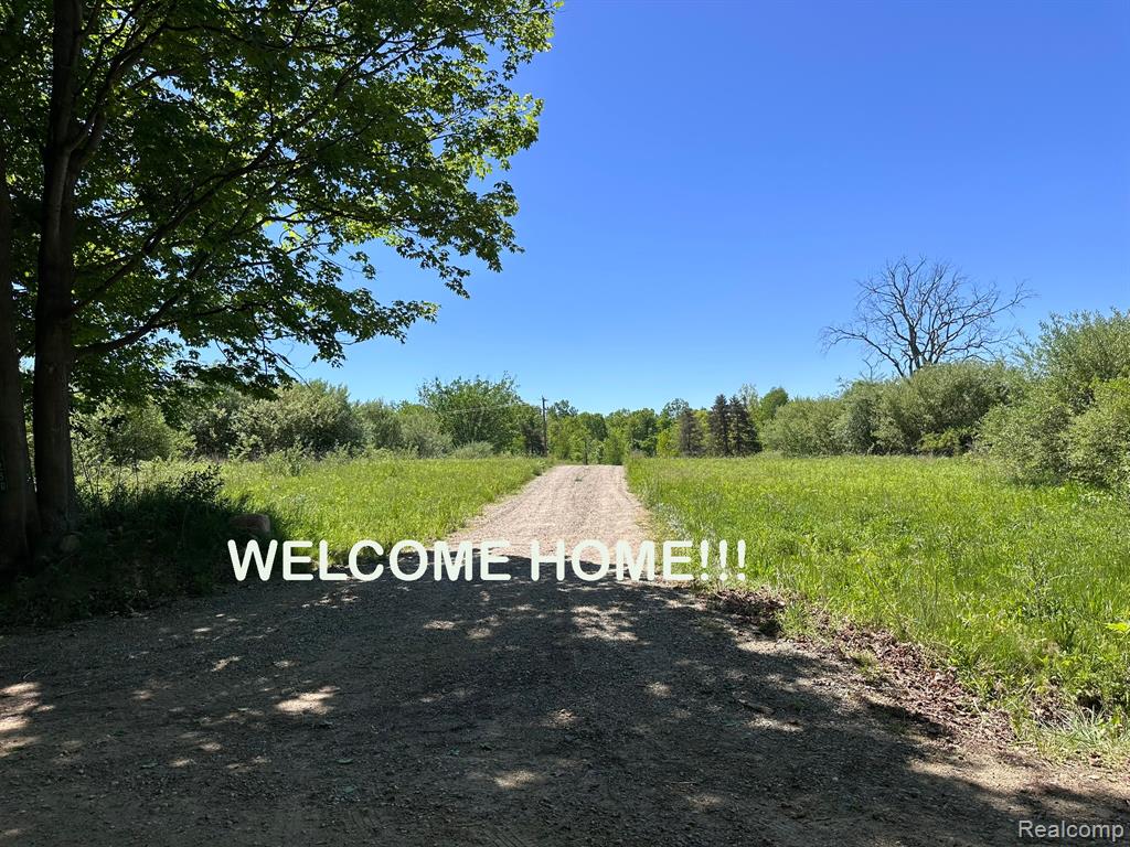 6250 Stine Road, Imlay City, MI 48444 — Photo 77