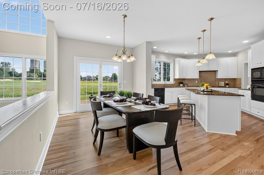 45864 Tournament Drive, Northville, MI 48168 — Photo 20
