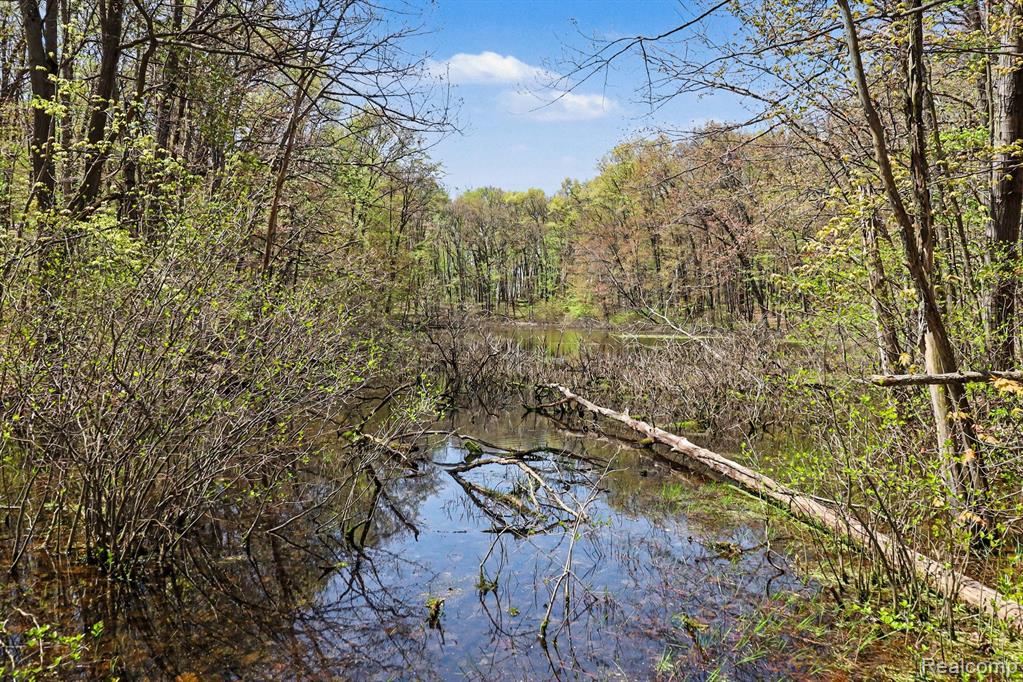 Parcel #3 Milford Rd, Holly, MI 48442 — Photo 17