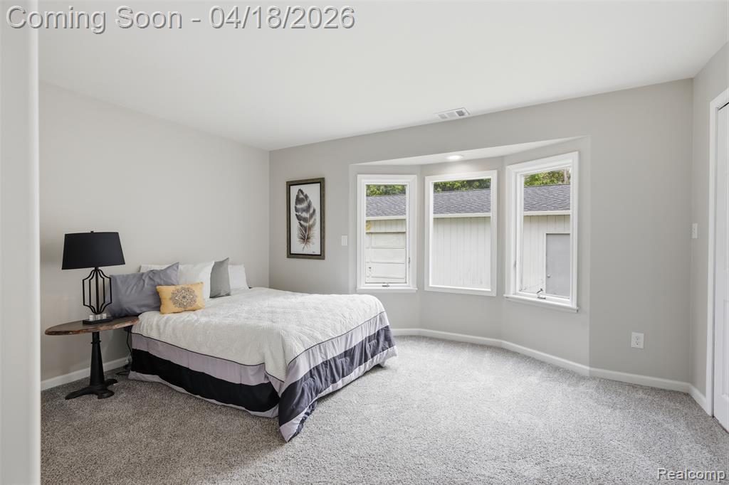 118 Gale Street, Morrice, MI 48857 — Photo 26