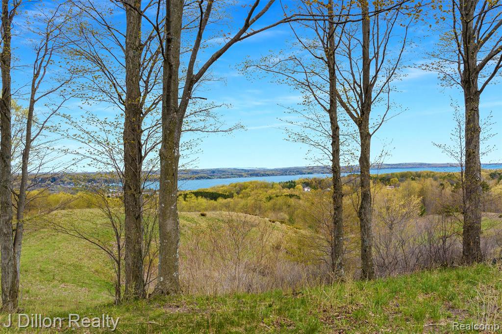 Lot 16 Wild Laurel Lane, Beulah, MI 49617 — Photo 6