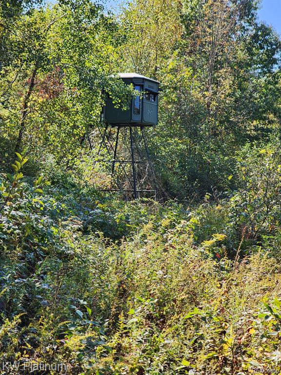 8060 Brockway Road, Melvin, MI 48454 — Photo 29