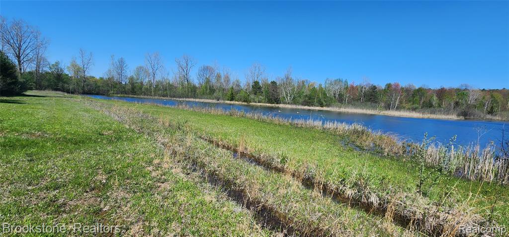 3338 FIELD Road, Clio, MI 48420 — Photo 9