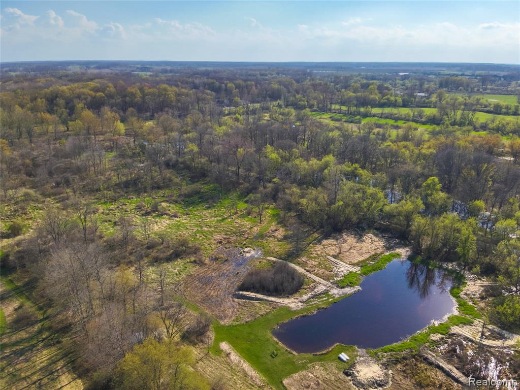 5785 Layton Road, Fowlerville, MI 48836 — Photo 64