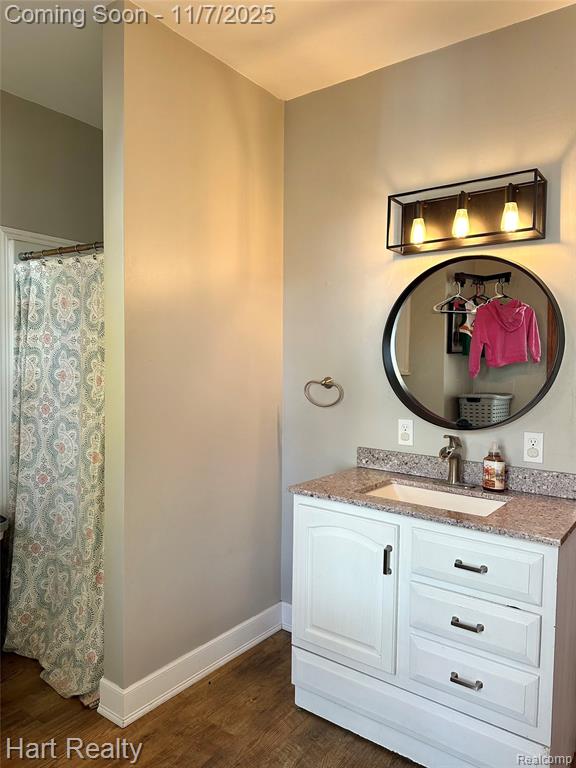 6865 Saint Marys Street, Brown, MI 48416 — Photo 18