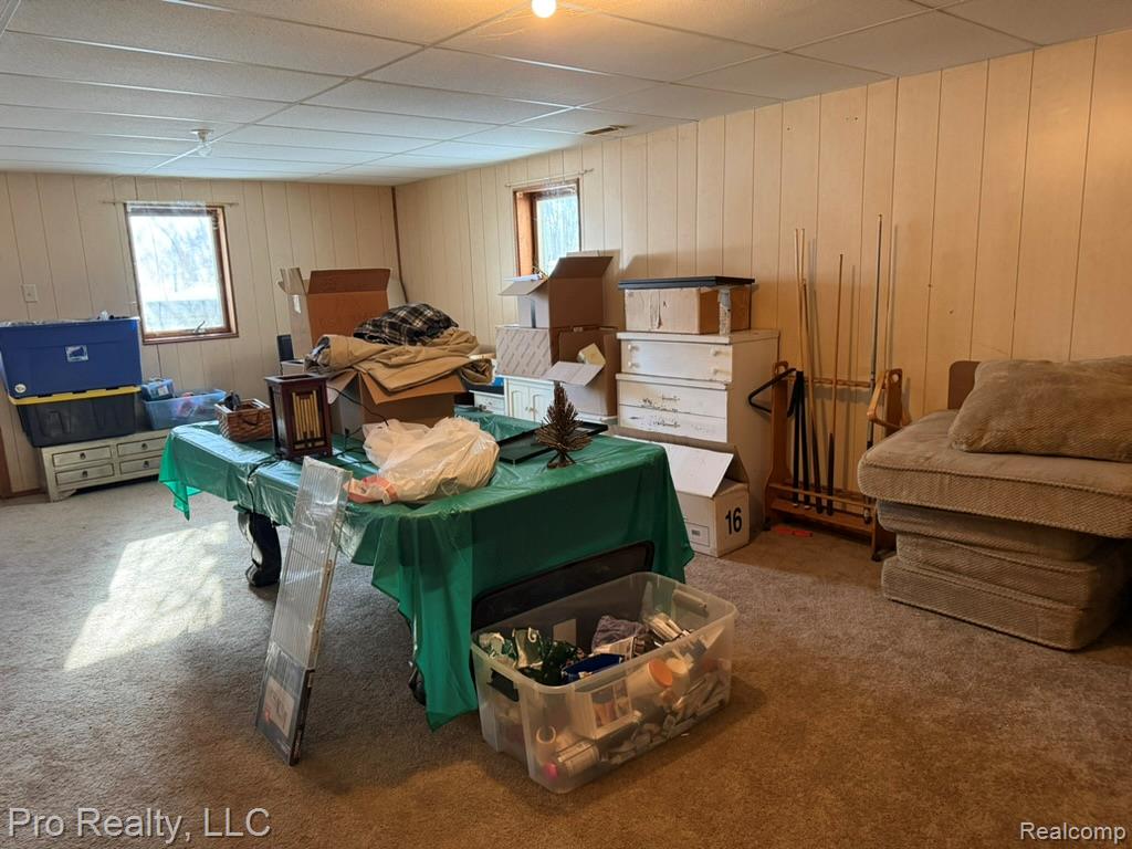 4976 Schott Road NE, Mayville Vlg, MI 48744 — Photo 26
