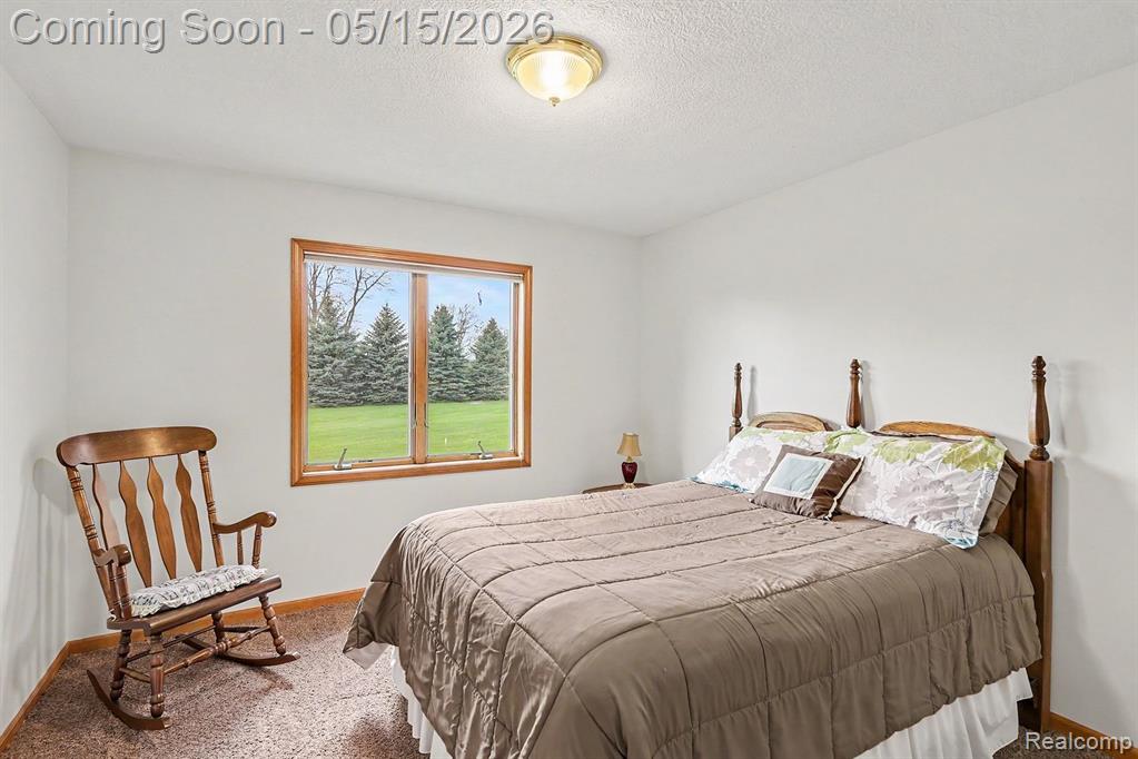 7700 N Dewitt Road, MI 48879 — Photo 13