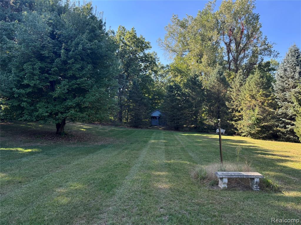 3198 Leeomi Drive, Britton, MI 49229 — Photo 37
