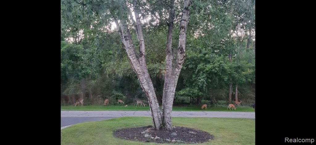 441 CLAYBURN Boulevard, Waterford, MI 48327 — Photo 26