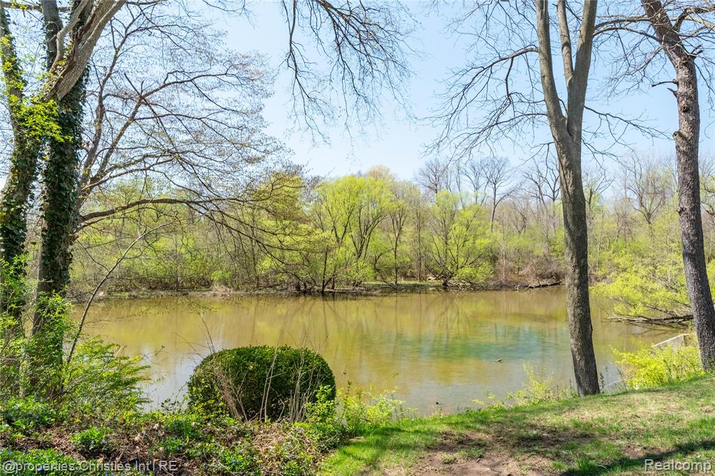 42559 Steepleview Street, Northville, MI 48168 — Photo 44