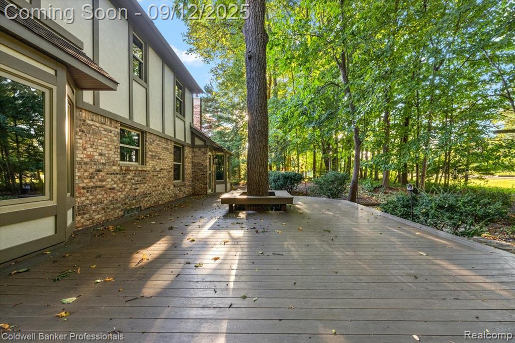49238 Plum Tree Drive, Plymouth, MI 48170 — Photo 6