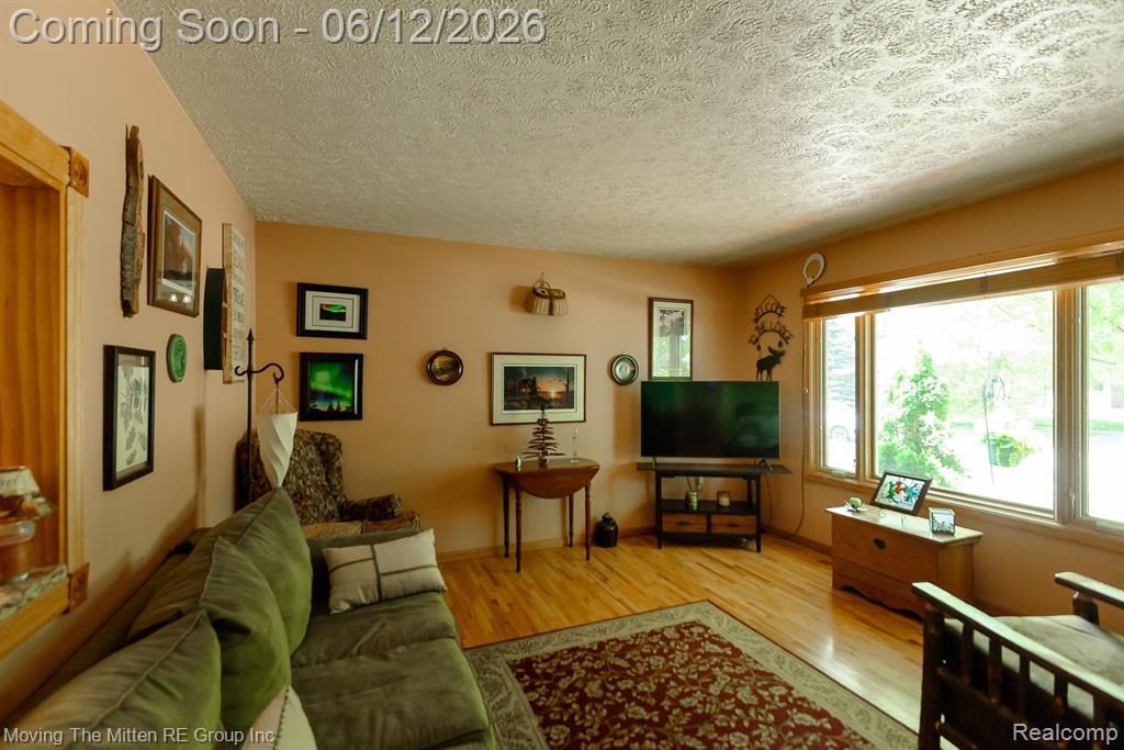 9853 Hamilton Street, Belleville, MI 48111 — Photo 4