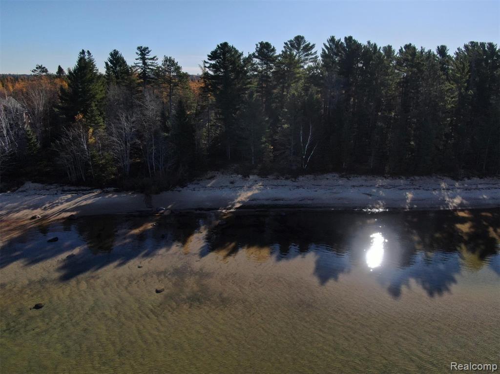 4680 S Pineshore Row, Brimley, MI 49783 — Photo 20