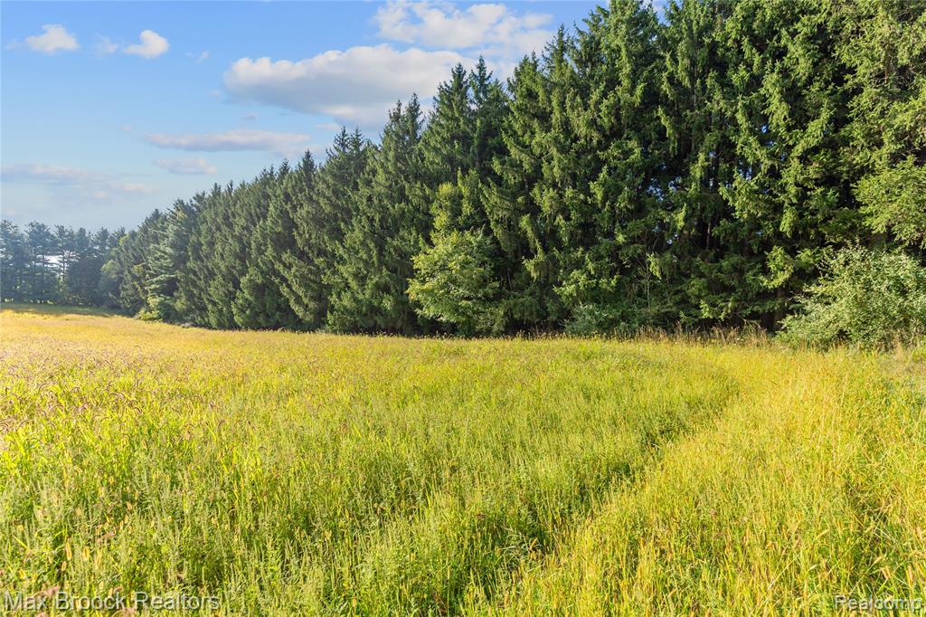 4700 Stanley Road, Columbiaville, MI 48421 — Photo 84